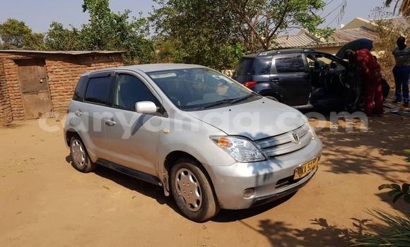 Buy Used Toyota IST Silver Car in Blantyre in Malawi Buy Used Toyota IST Silver Car in Blantyre in Malawi