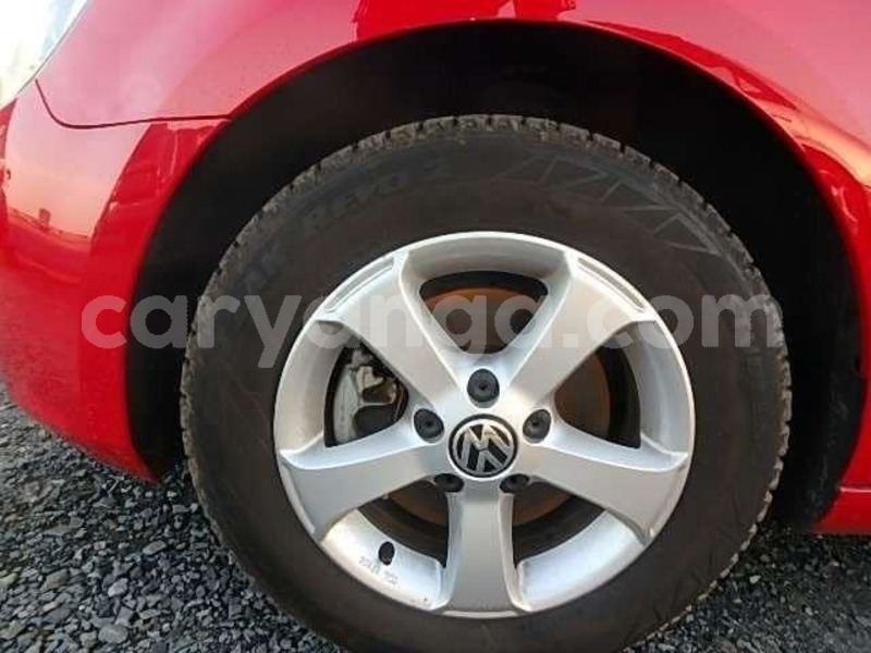 Big with watermark 51939233 171763993805611 5183074238260576256 n