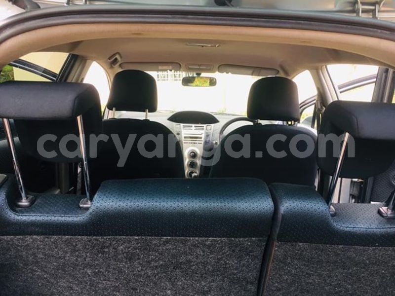 Big with watermark 51612553 169392664042744 3758444250581172224 n