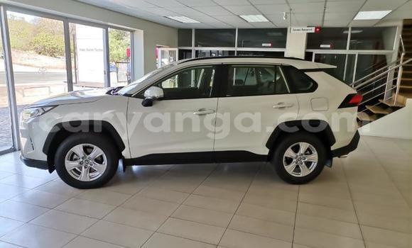 Nunua Ilio tumika Toyota RAV4 White Gari ndani ya Blantyre nchini Malawi Nunua Ilio tumika Toyota RAV4 White Gari ndani ya Blantyre nchini Malawi