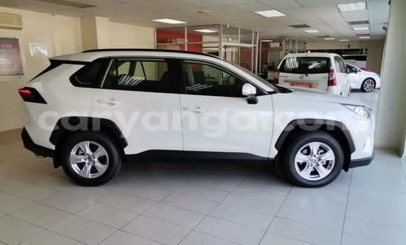 Nunua Ilio tumika Toyota RAV4 White Gari ndani ya Blantyre nchini Malawi Nunua Ilio tumika Toyota RAV4 White Gari ndani ya Blantyre nchini Malawi