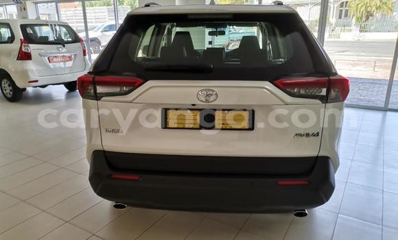 Nunua Ilio tumika Toyota RAV4 White Gari ndani ya Blantyre nchini Malawi Nunua Ilio tumika Toyota RAV4 White Gari ndani ya Blantyre nchini Malawi
