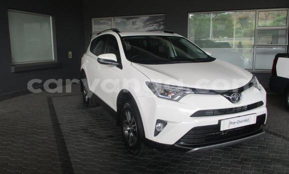 Buy Used Toyota RAV4 White Car in Lilongwe in Malawi Buy Used Toyota RAV4 White Car in Lilongwe in Malawi