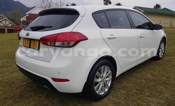 Buy Used Kia Cerato White Car in Lilongwe in Malawi Buy Used Kia Cerato White Car in Lilongwe in Malawi