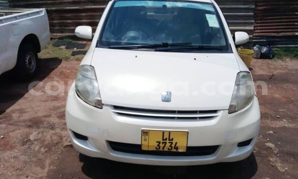 Acheter Occasion Voiture Toyota Passo Gris à Blantyre, Malawi Acheter Occasion Voiture Toyota Passo Gris à Blantyre, Malawi