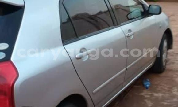 Nunua Ilio tumika Toyota Runx Silver Gari ndani ya Blantyre nchini Malawi Nunua Ilio tumika Toyota Runx Silver Gari ndani ya Blantyre nchini Malawi