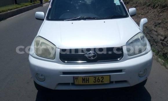 Buy Used Toyota RAV4 White Car in Blantyre in Malawi Buy Used Toyota RAV4 White Car in Blantyre in Malawi