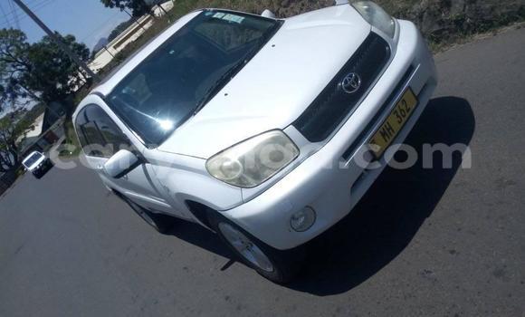 Buy Used Toyota RAV4 White Car in Blantyre in Malawi Buy Used Toyota RAV4 White Car in Blantyre in Malawi