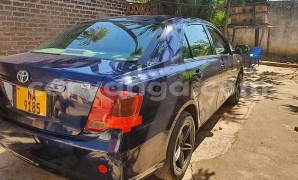 Buy Used Toyota Axio Blue Car in Blantyre in Malawi Buy Used Toyota Axio Blue Car in Blantyre in Malawi