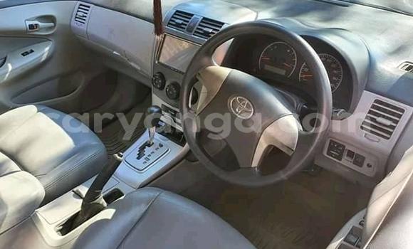 Buy Used Toyota Axio Blue Car in Blantyre in Malawi Buy Used Toyota Axio Blue Car in Blantyre in Malawi