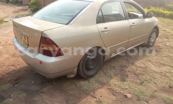 Buy Used Toyota Corolla Beige Car in Blantyre in Malawi Buy Used Toyota Corolla Beige Car in Blantyre in Malawi