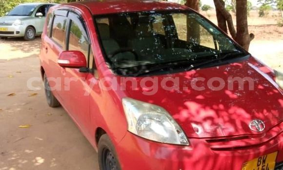 Buy Used Toyota Passo Red Car in Blantyre in Malawi Buy Used Toyota Passo Red Car in Blantyre in Malawi