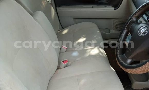 Buy Used Toyota Passo Red Car in Blantyre in Malawi Buy Used Toyota Passo Red Car in Blantyre in Malawi