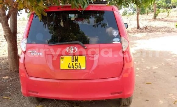 Buy Used Toyota Passo Red Car in Blantyre in Malawi Buy Used Toyota Passo Red Car in Blantyre in Malawi