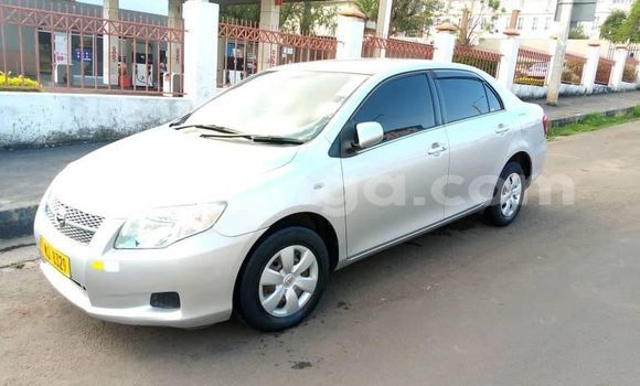 Buy Used Toyota Axio Silver Car in Blantyre in Malawi Buy Used Toyota Axio Silver Car in Blantyre in Malawi