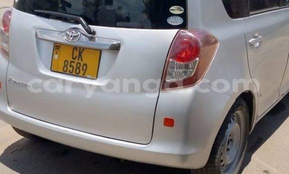 Buy Used Toyota Ractis Silver Car in Blantyre in Malawi Buy Used Toyota Ractis Silver Car in Blantyre in Malawi