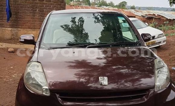 Buy Used Toyota Passo Other Car in Blantyre in Malawi Buy Used Toyota Passo Other Car in Blantyre in Malawi