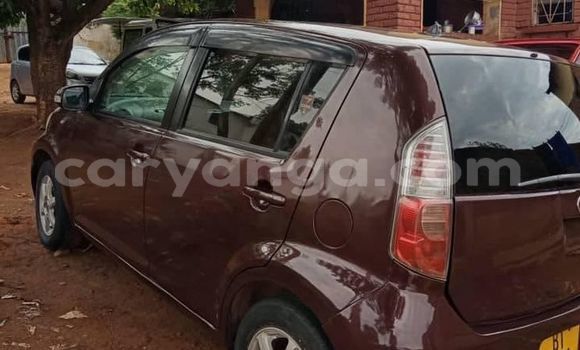 Buy Used Toyota Passo Other Car in Blantyre in Malawi Buy Used Toyota Passo Other Car in Blantyre in Malawi