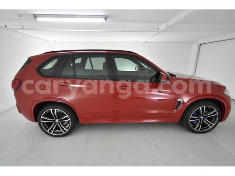 Big with watermark 600 2