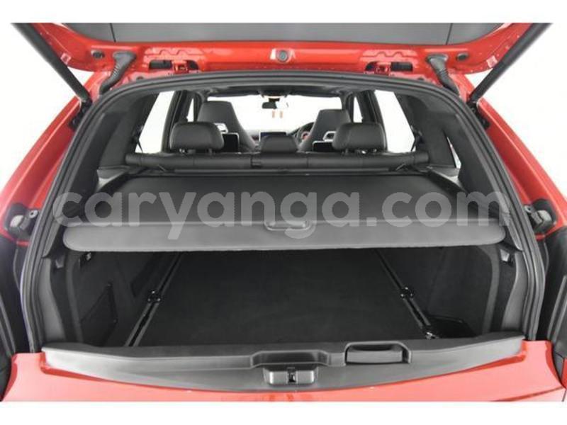 Big with watermark 600 9