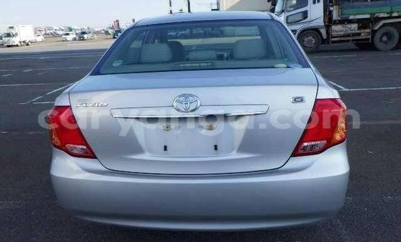 Acheter Occasion Voiture Toyota Axio Gris à Blantyre, Malawi Acheter Occasion Voiture Toyota Axio Gris à Blantyre, Malawi