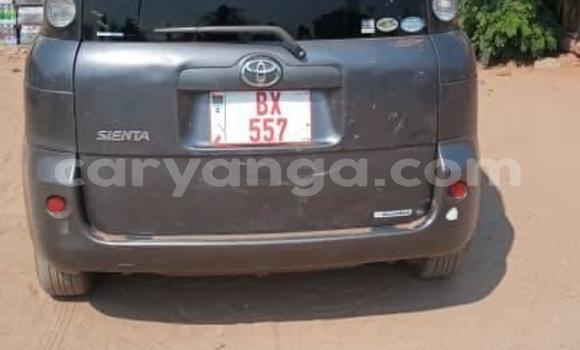 Acheter Occasion Voiture Toyota Sienta Noir à Blantyre, Malawi Acheter Occasion Voiture Toyota Sienta Noir à Blantyre, Malawi