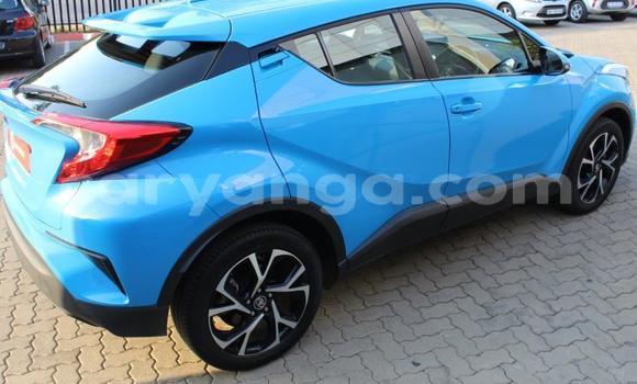 Nunua Ilio tumika Toyota C-HR Blue Gari ndani ya Blantyre nchini Malawi Nunua Ilio tumika Toyota C-HR Blue Gari ndani ya Blantyre nchini Malawi