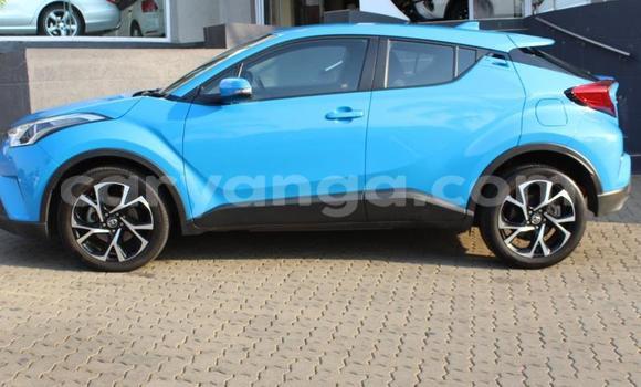 Nunua Ilio tumika Toyota C-HR Blue Gari ndani ya Blantyre nchini Malawi Nunua Ilio tumika Toyota C-HR Blue Gari ndani ya Blantyre nchini Malawi