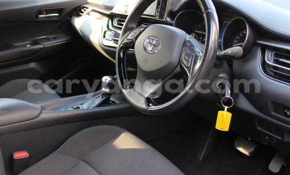 Nunua Ilio tumika Toyota C-HR Blue Gari ndani ya Blantyre nchini Malawi Nunua Ilio tumika Toyota C-HR Blue Gari ndani ya Blantyre nchini Malawi