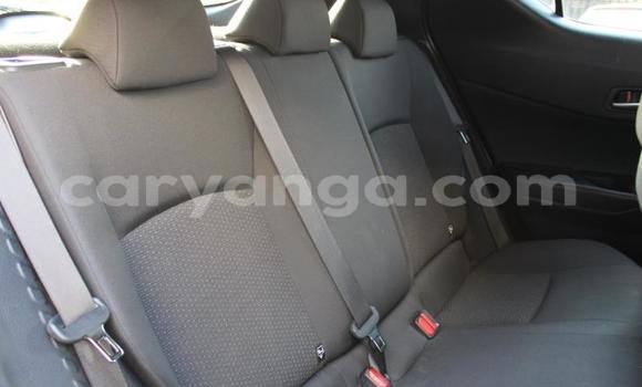 Nunua Ilio tumika Toyota C-HR Blue Gari ndani ya Blantyre nchini Malawi Nunua Ilio tumika Toyota C-HR Blue Gari ndani ya Blantyre nchini Malawi