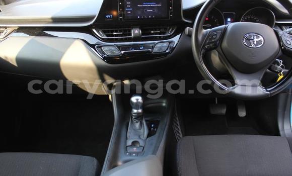 Nunua Ilio tumika Toyota C-HR Blue Gari ndani ya Blantyre nchini Malawi Nunua Ilio tumika Toyota C-HR Blue Gari ndani ya Blantyre nchini Malawi