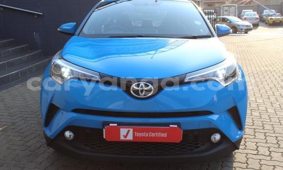 Nunua Ilio tumika Toyota C-HR Blue Gari ndani ya Blantyre nchini Malawi Nunua Ilio tumika Toyota C-HR Blue Gari ndani ya Blantyre nchini Malawi
