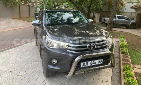 Nunua Ilio tumika Toyota Hilux Other Gari ndani ya Blantyre nchini Malawi Nunua Ilio tumika Toyota Hilux Other Gari ndani ya Blantyre nchini Malawi
