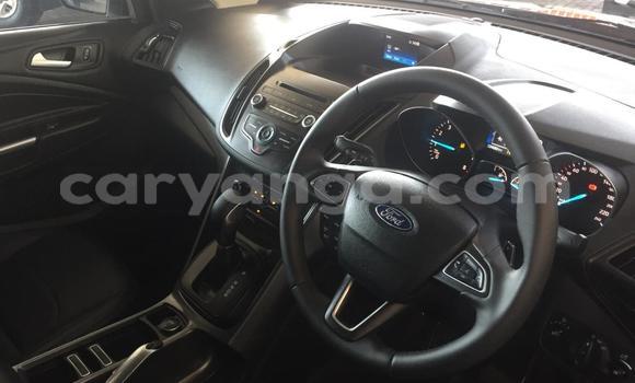Nunua Ilio tumika Ford Kuga Silver Gari ndani ya Blantyre nchini Malawi Nunua Ilio tumika Ford Kuga Silver Gari ndani ya Blantyre nchini Malawi