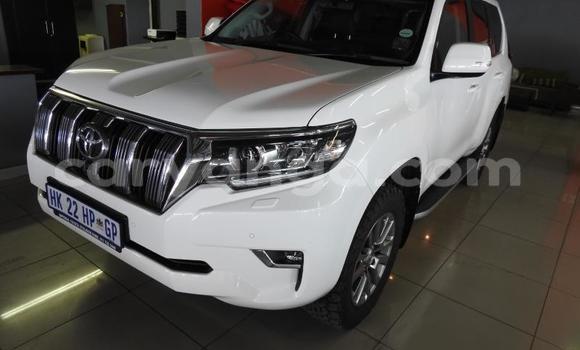 Nunua Ilio tumika Toyota Land Cruiser Prado White Gari ndani ya Blantyre nchini Malawi Nunua Ilio tumika Toyota Land Cruiser Prado White Gari ndani ya Blantyre nchini Malawi