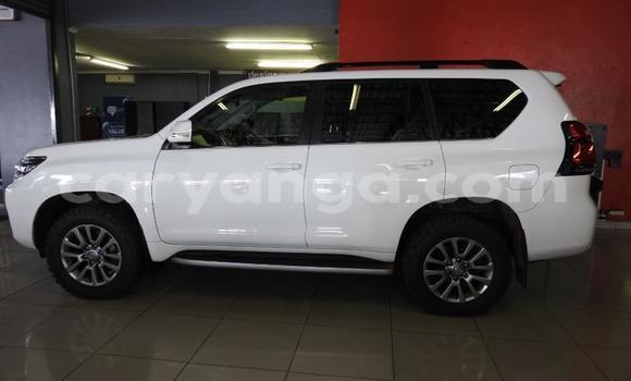 Nunua Ilio tumika Toyota Land Cruiser Prado White Gari ndani ya Blantyre nchini Malawi Nunua Ilio tumika Toyota Land Cruiser Prado White Gari ndani ya Blantyre nchini Malawi