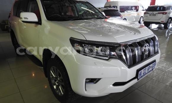 Nunua Ilio tumika Toyota Land Cruiser Prado White Gari ndani ya Blantyre nchini Malawi Nunua Ilio tumika Toyota Land Cruiser Prado White Gari ndani ya Blantyre nchini Malawi