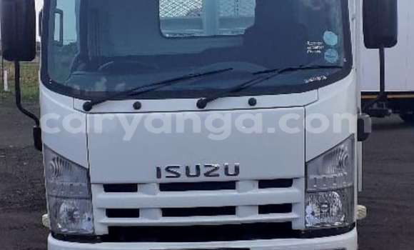 Buy Used Isuzu FTR 850 White Truck in Lilongwe in Malawi Buy Used Isuzu FTR 850 White Truck in Lilongwe in Malawi