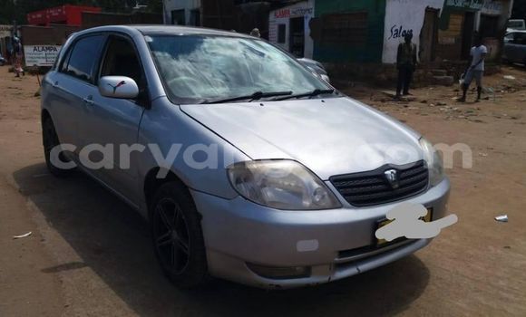 Acheter Occasion Voiture Toyota Runx Gris à Blantyre, Malawi Acheter Occasion Voiture Toyota Runx Gris à Blantyre, Malawi