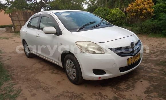 Buy Used Toyota Belta White Car in Blantyre in Malawi