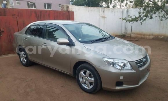 Acheter Occasion Voiture Toyota Axio Beige à Blantyre, Malawi Acheter Occasion Voiture Toyota Axio Beige à Blantyre, Malawi