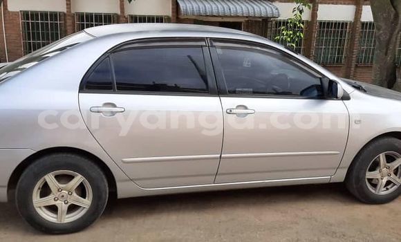 Acheter Occasion Voiture Toyota Corolla Gris à Blantyre, Malawi Acheter Occasion Voiture Toyota Corolla Gris à Blantyre, Malawi