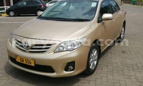 Acheter Occasion Voiture Toyota Corolla Marron à Blantyre, Malawi Acheter Occasion Voiture Toyota Corolla Marron à Blantyre, Malawi