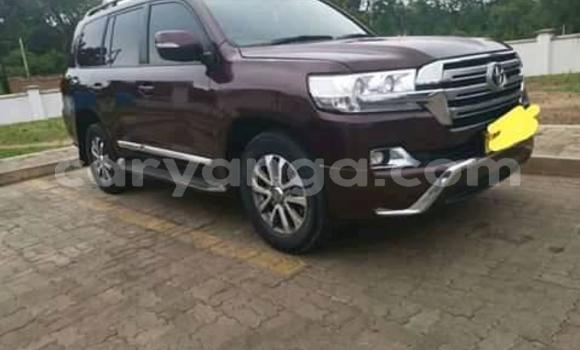 Acheter Occasion Voiture Toyota Land Cruiser Rouge à Blantyre, Malawi Acheter Occasion Voiture Toyota Land Cruiser Rouge à Blantyre, Malawi