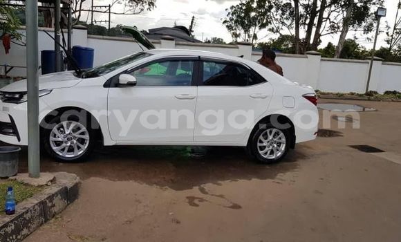 Acheter Occasion Voiture Toyota Corolla Blanc à Blantyre, Malawi Acheter Occasion Voiture Toyota Corolla Blanc à Blantyre, Malawi