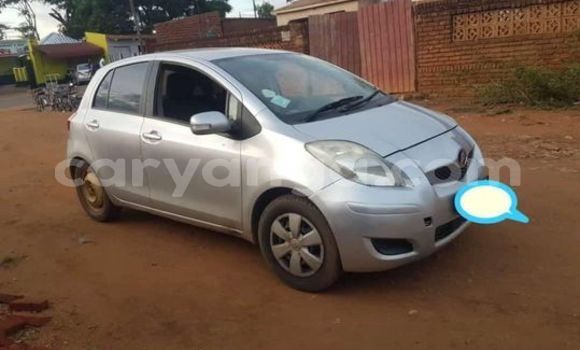Buy Used Toyota Vitz Silver Car in Blantyre in Malawi Buy Used Toyota Vitz Silver Car in Blantyre in Malawi