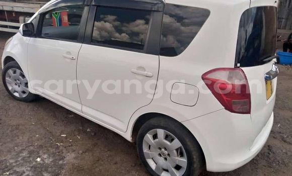 Buy Used Toyota Ractis White Car in Blantyre in Malawi Buy Used Toyota Ractis White Car in Blantyre in Malawi