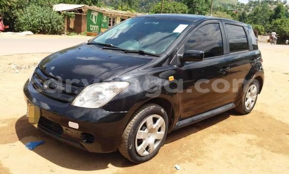 Buy Used Toyota IST Black Car in Blantyre in Malawi Buy Used Toyota IST Black Car in Blantyre in Malawi