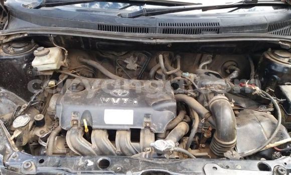 Buy Used Toyota IST Black Car in Blantyre in Malawi Buy Used Toyota IST Black Car in Blantyre in Malawi