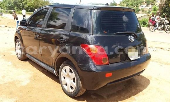 Buy Used Toyota IST Black Car in Blantyre in Malawi Buy Used Toyota IST Black Car in Blantyre in Malawi